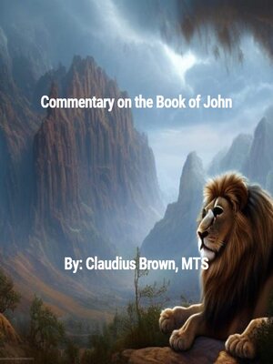 cover image of Commentary on the Book of John